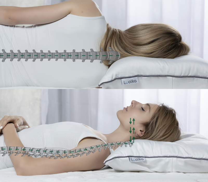 Spine-01 Spine-01